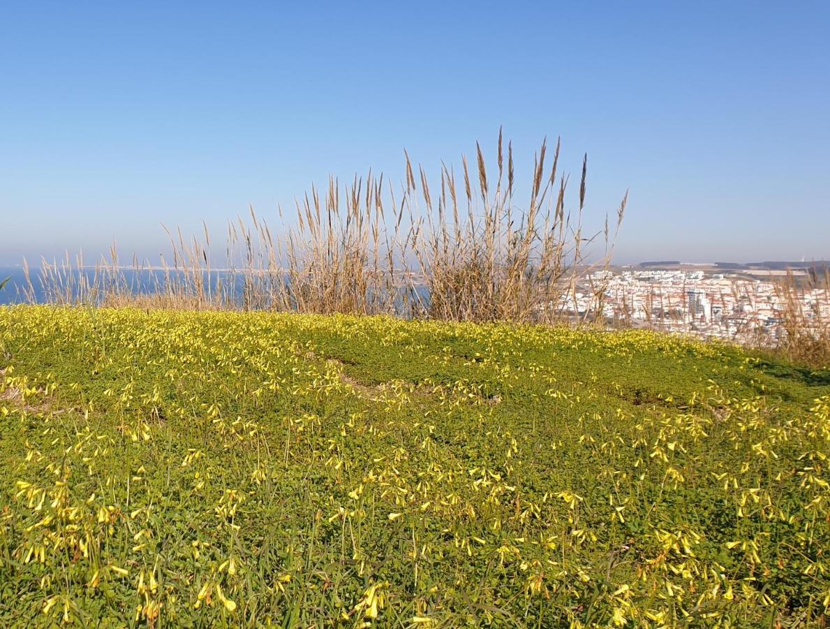فيلا Casa Harmonica Com Vista Mar آريا برانكا المظهر الخارجي الصورة